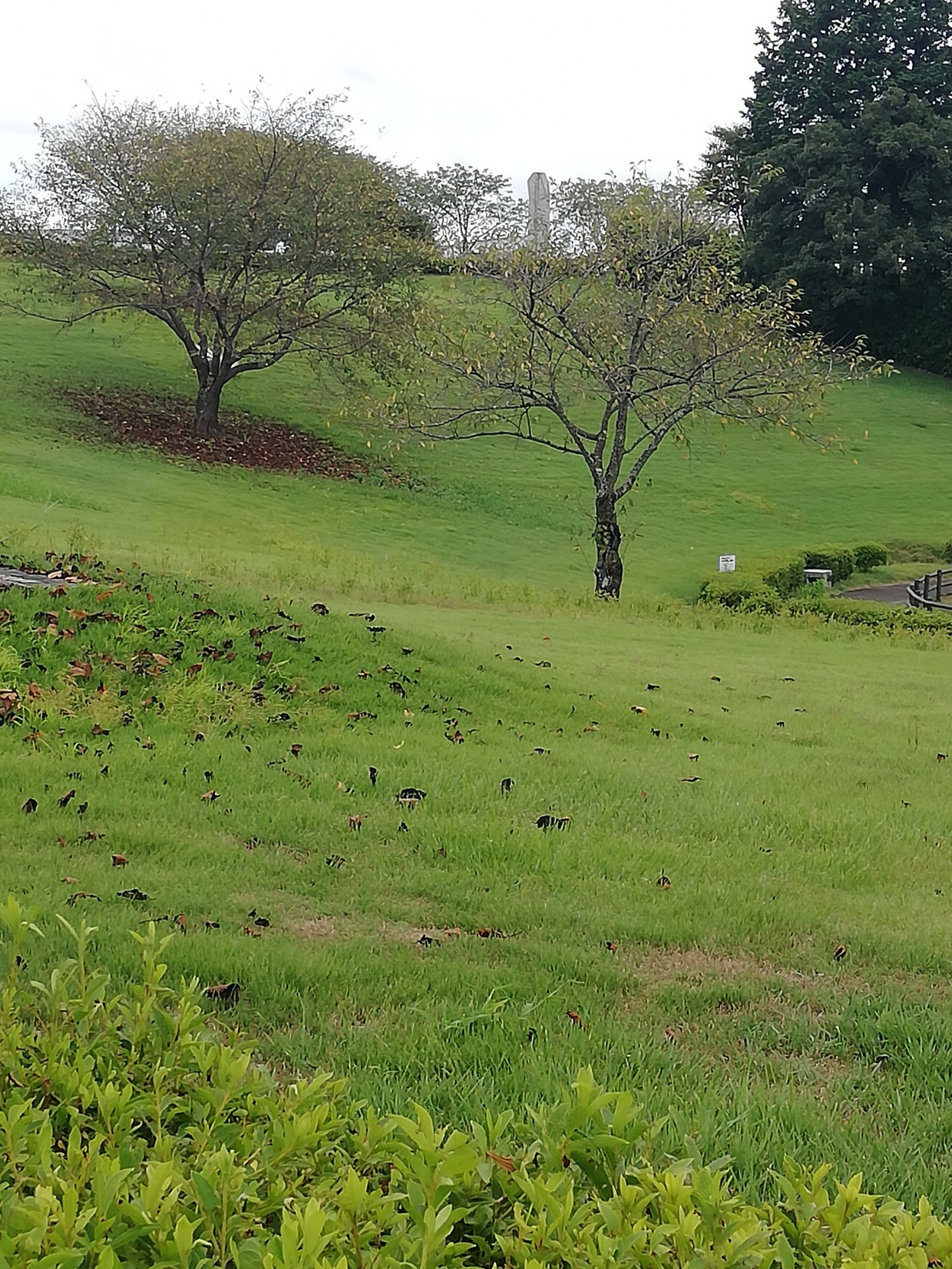 「風の時代」とは　