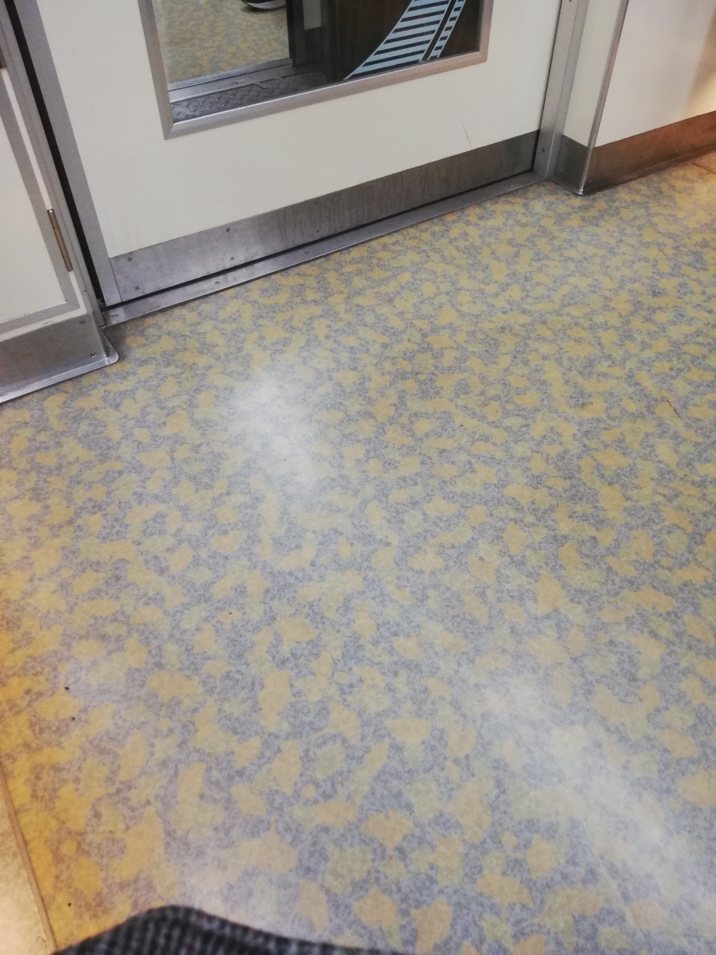 おー！イチョウ柄